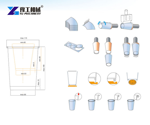 paper cup forming and production process